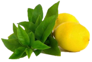 CitrusVerbenaNew_grande